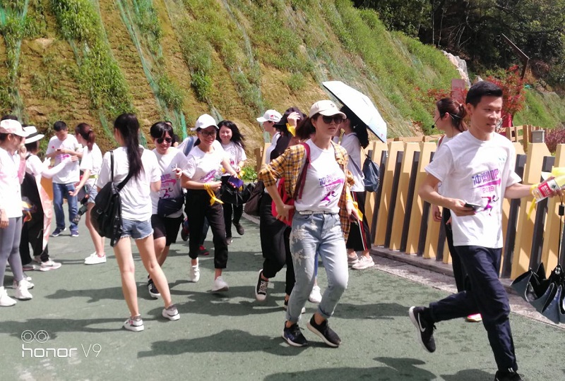 携手并进·冲刺2019|云里物里营销中心登山拓展活动圆满结束!