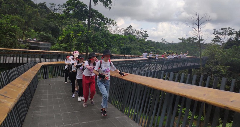 携手并进·冲刺2019|云里物里营销中心登山拓展活动圆满结束!