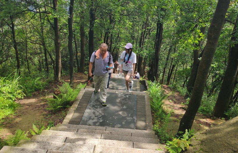 携手并进·冲刺2019|云里物里营销中心登山拓展活动圆满结束!