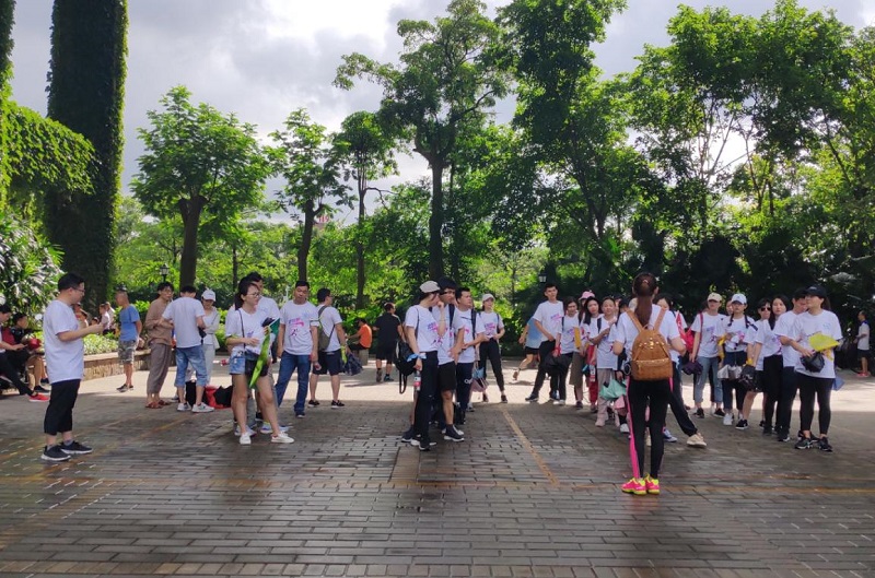 携手并进·冲刺2019|云里物里营销中心登山拓展活动圆满结束!