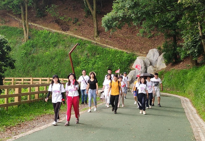 携手并进·冲刺2019|云里物里营销中心登山拓展活动圆满结束!