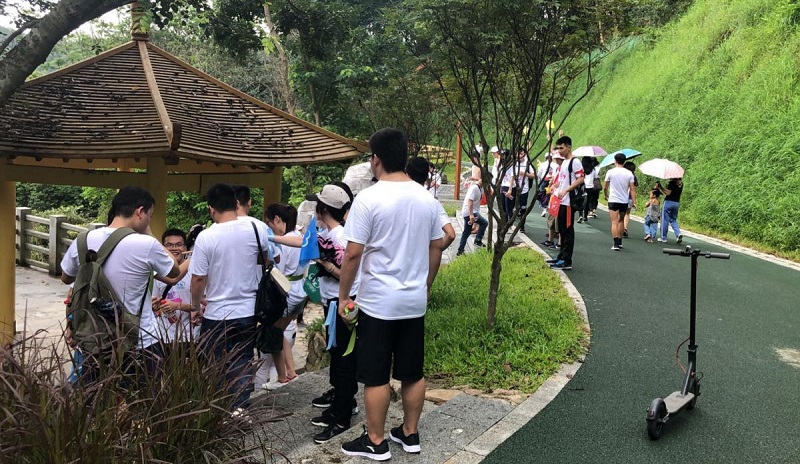 携手并进·冲刺2019|云里物里营销中心登山拓展活动圆满结束!