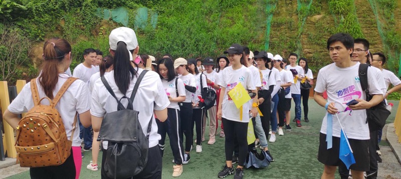 携手并进·冲刺2019|云里物里营销中心登山拓展活动圆满结束!